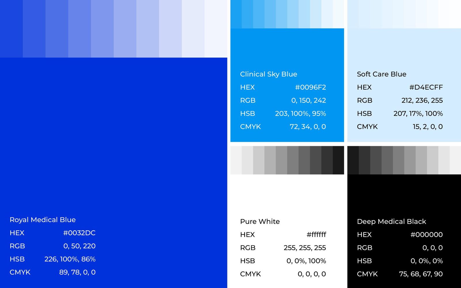 Colour palette: Royal Medical Blue, Clinical Sky Blue, Soft Care Blue, white and black
